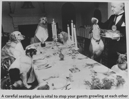Dinner seating plan dogs