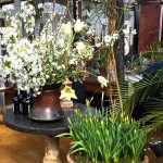 Petersham Nurseries on Americas-Table.com