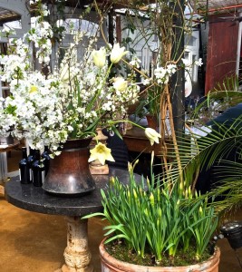 Petersham Nurseries on Americas-Table.com