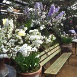 Petersham Nurseries on Americas-Table.com