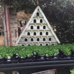 Petersham Nurseries on Americas-Table.com