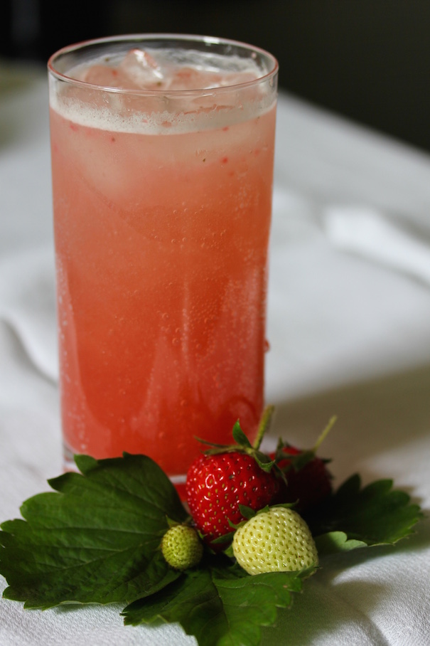 Strawberry Shrub 