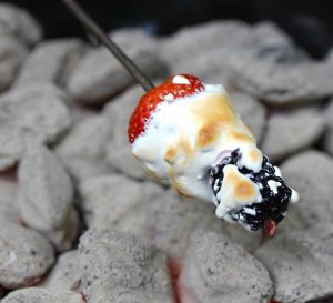 You’ve seen the healthy campout dessert, and the s’mores recipe, but this one belongs somewhere in between.