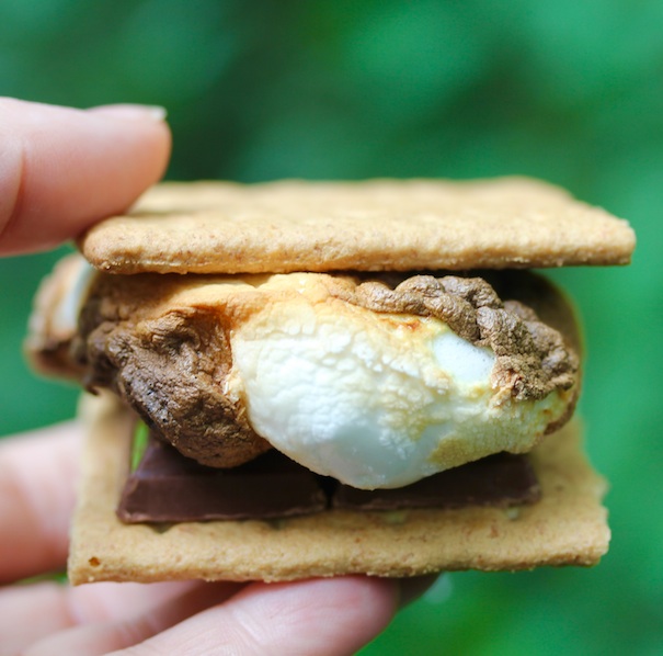 Turtle S’mores