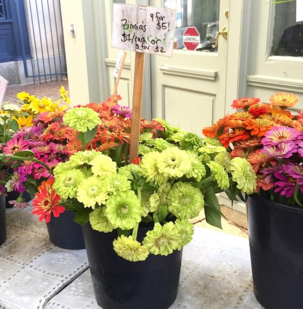 A Guide to Farmer's Market Flowers America's Table