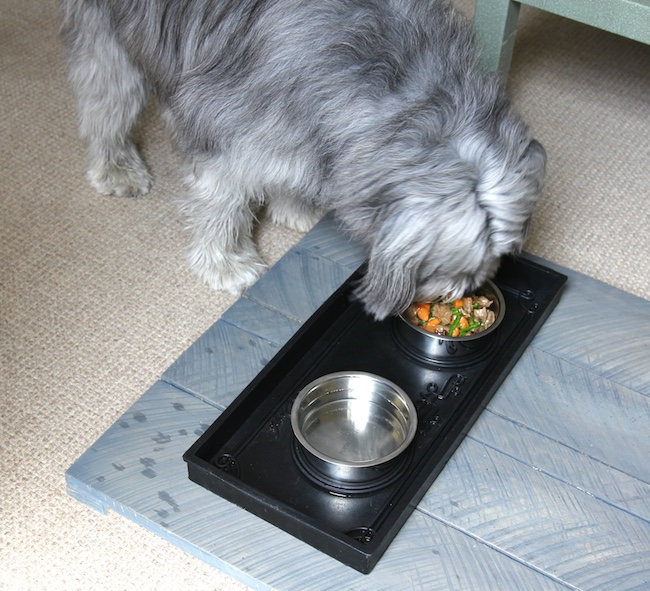 Homemade Dog Food And Jerky