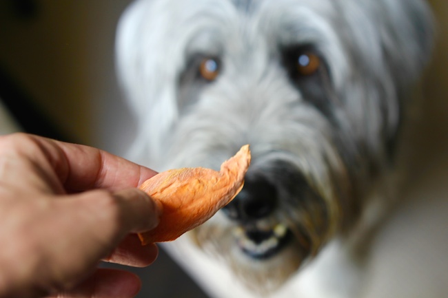 Homemade Dog Food And Jerky