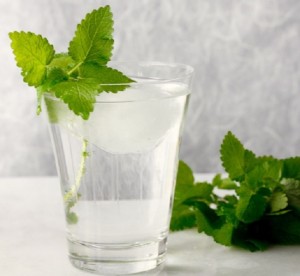 LEMON BALM GIN AND TONIC