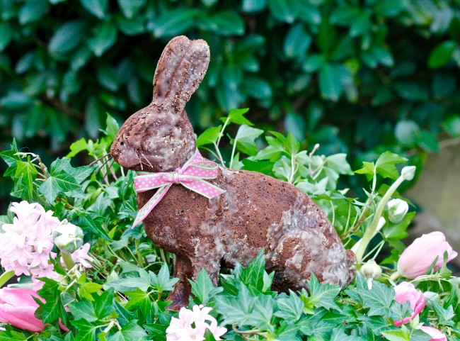 Gingerbread Velveteen Rabbit on Americas-Table.com