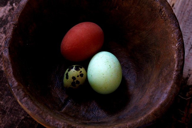 COLORED EGGS MADE WITH NATURAL DYES on Americas-Table.com