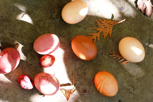 COLORED EGGS MADE WITH NATURAL DYES on Americas-Table.com