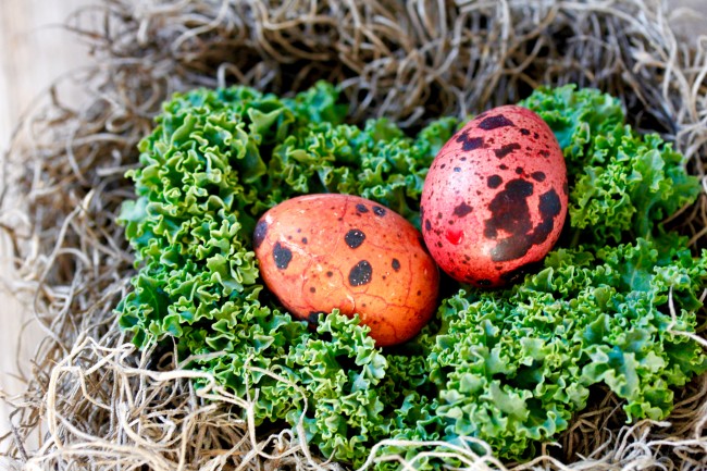 COLORED EGGS MADE WITH NATURAL DYES on Americas-Table.com