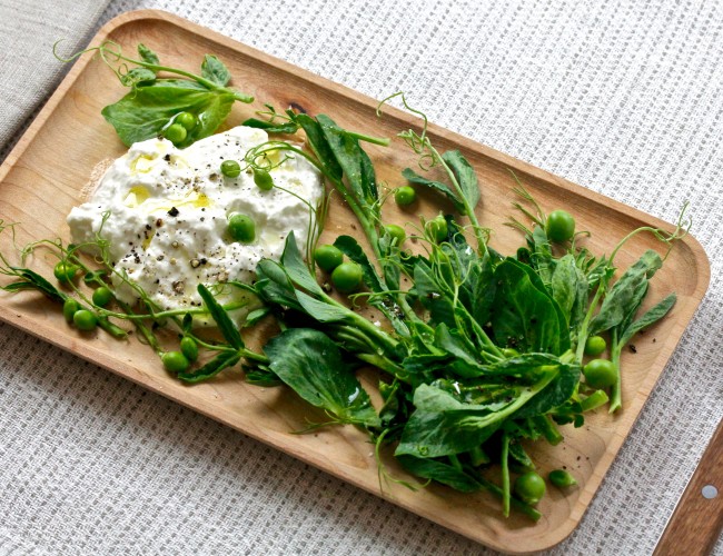 FRESH PEA SHOOTS AND BURRATA SALAD on Americas-Table.com