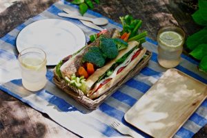 PICNIC ETIQUETTE on Americas-Table.com