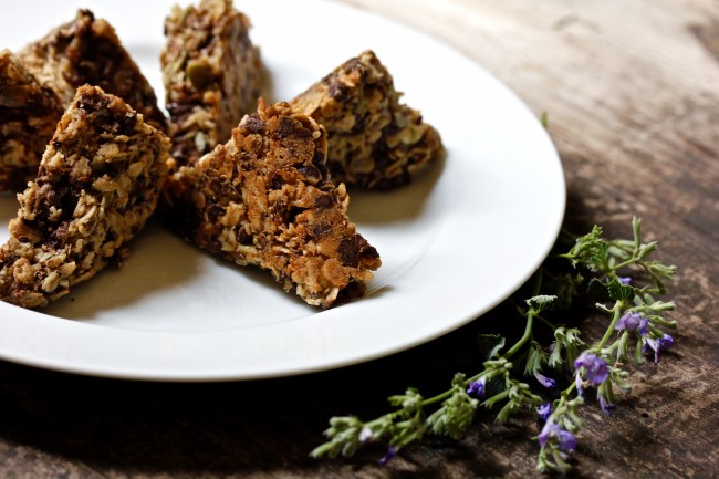 PEANUT BUTTER CHOCOLATE CHIP GRANOLA BARS on Americas-Table.com