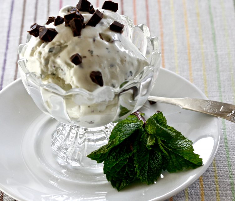 Mint Chocolate Chip Frozen Yogurt