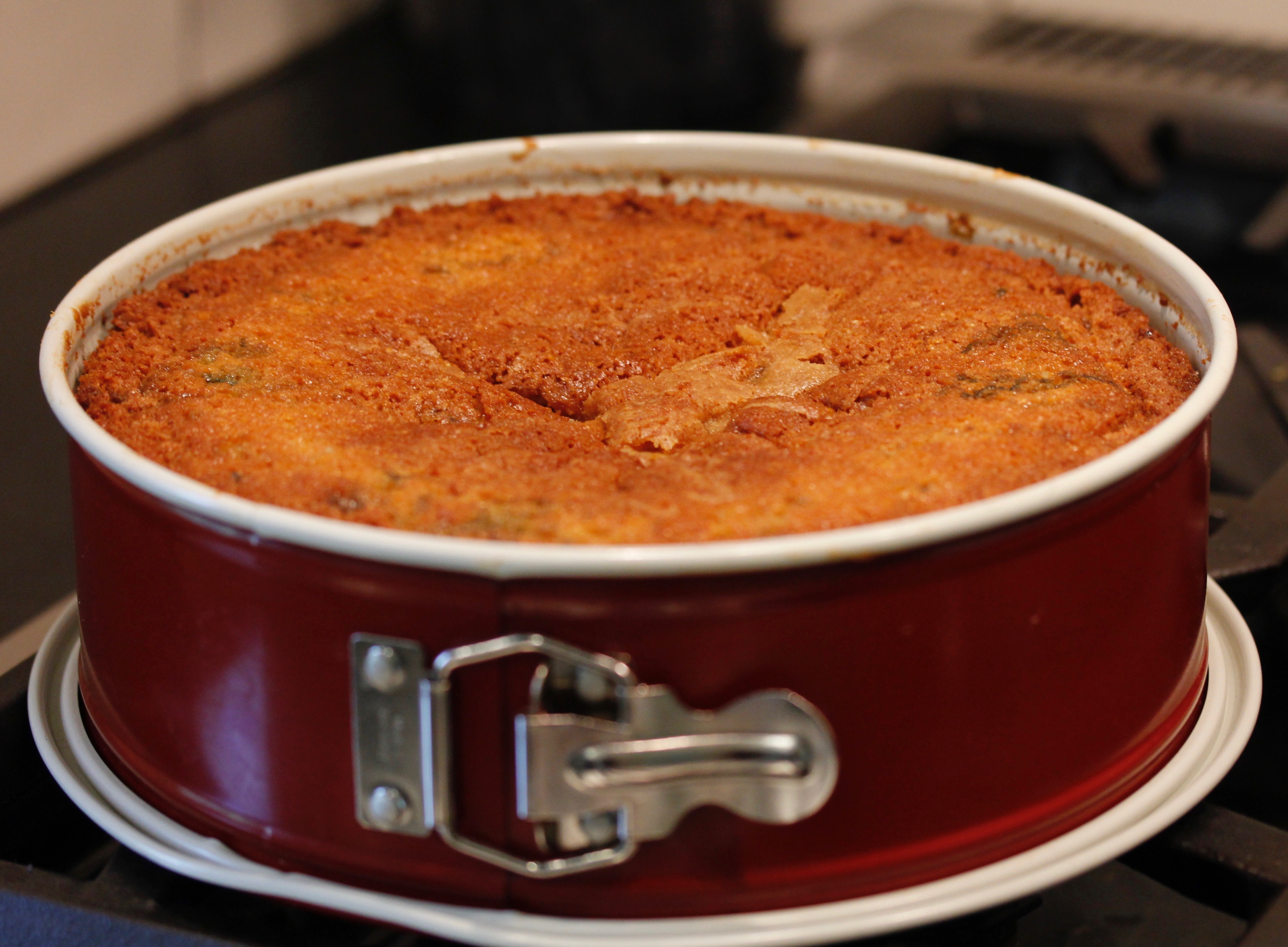 Blueberry Cornmeal Poundcake