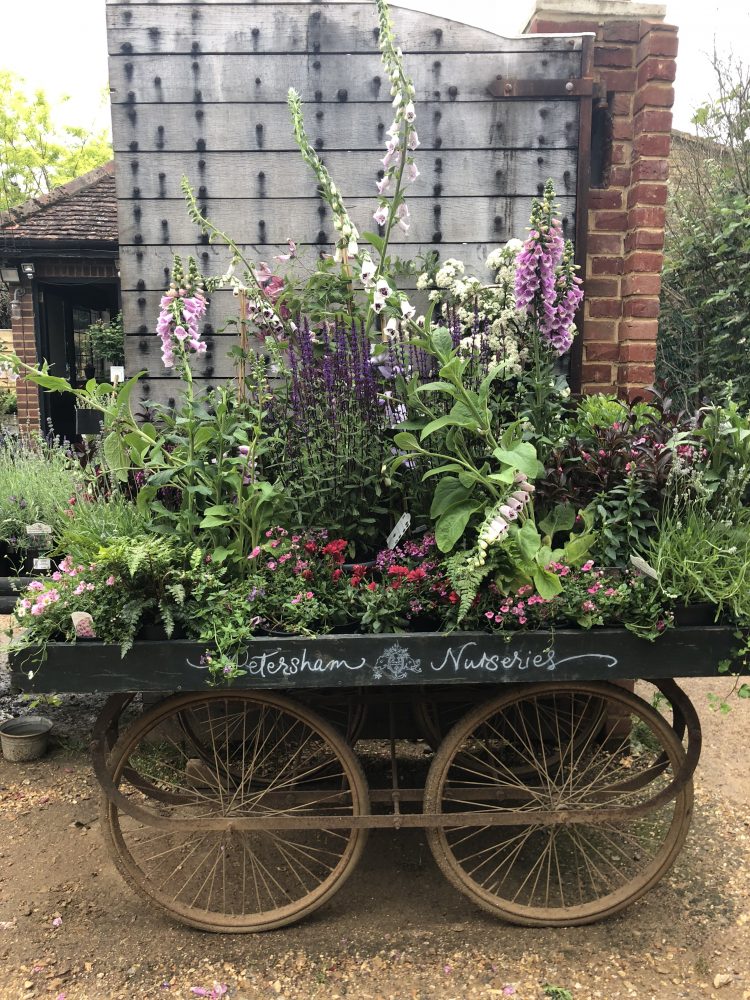 One of the Petersham flower carts