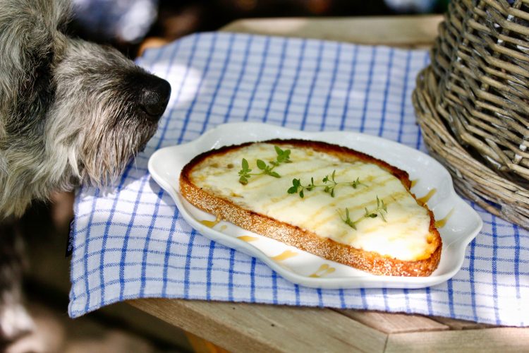 Open-faced Grilled Cheese with Honey