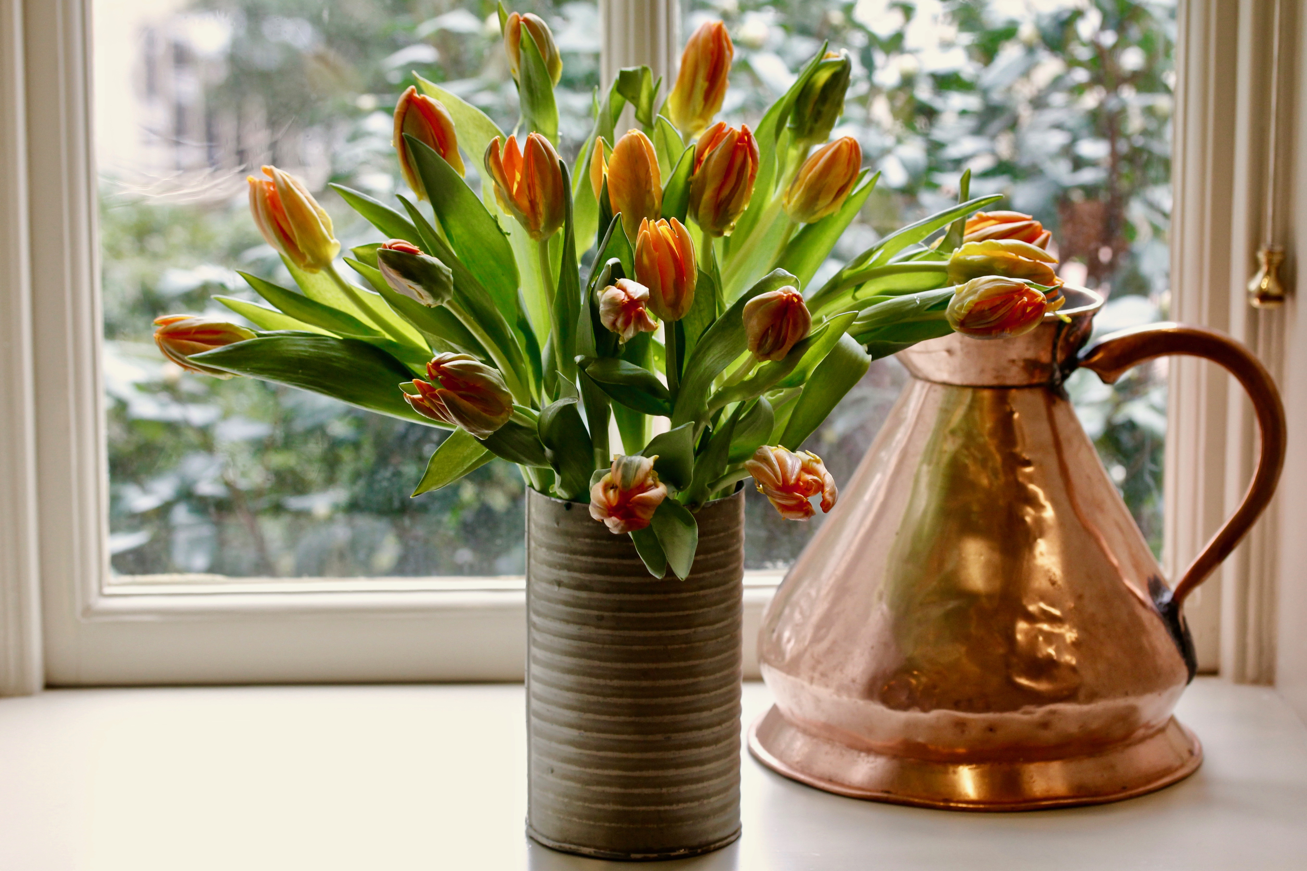 Spring Bulbs