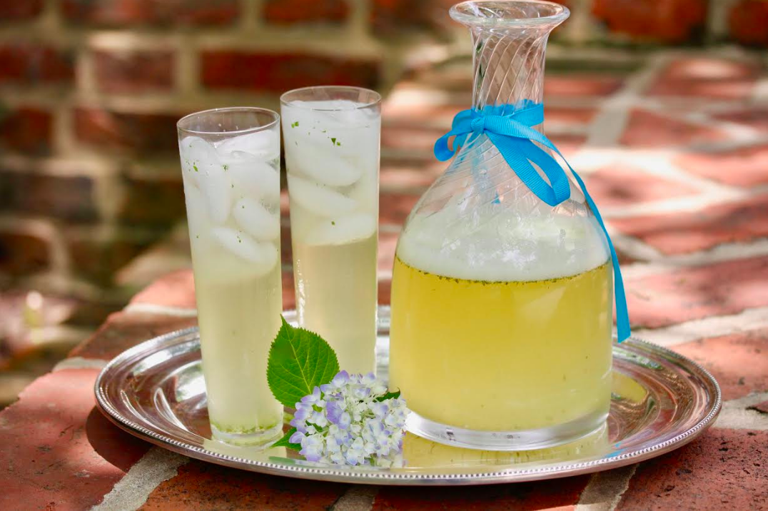 Honey Basil Lemonade