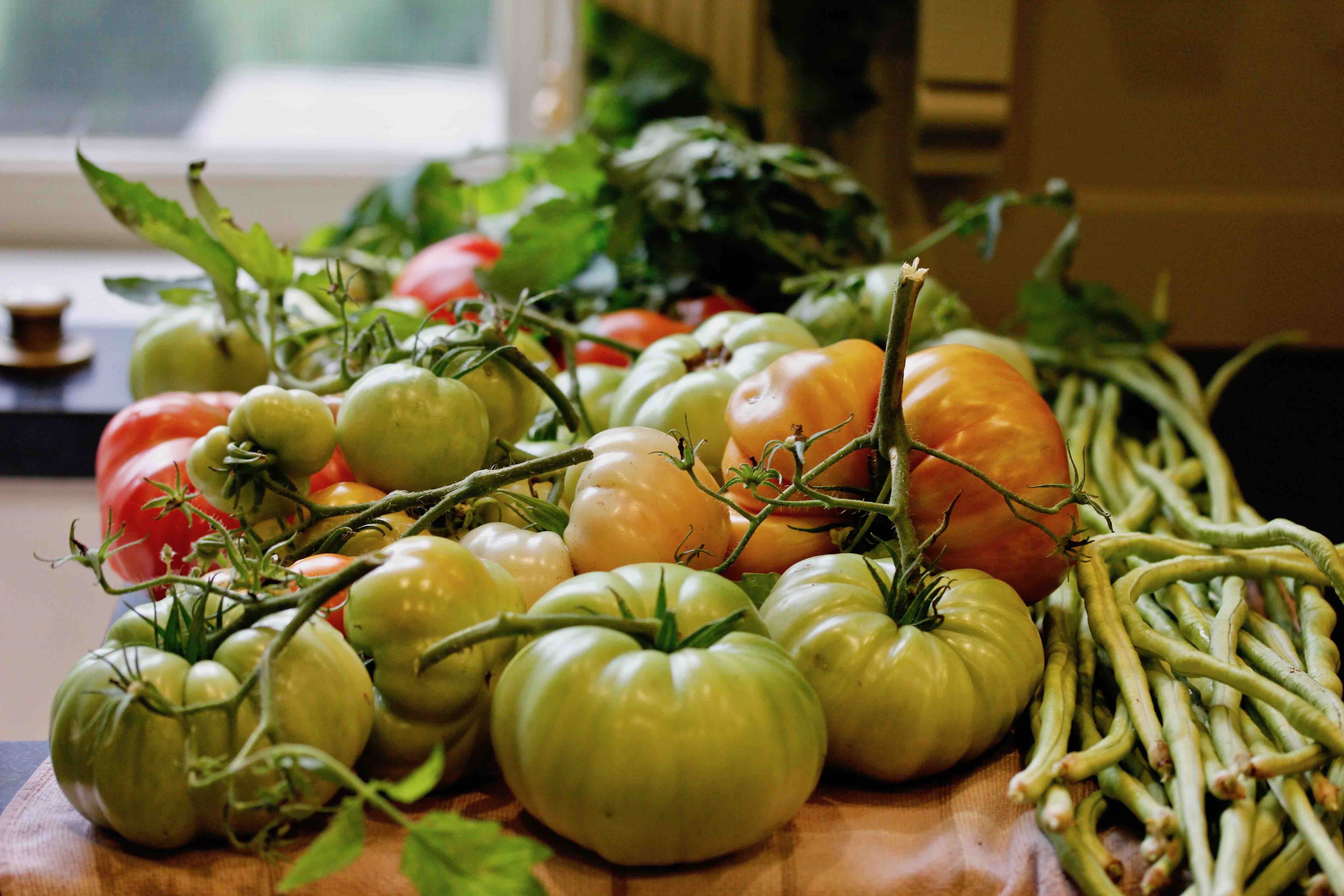 Green Tomato Gratin